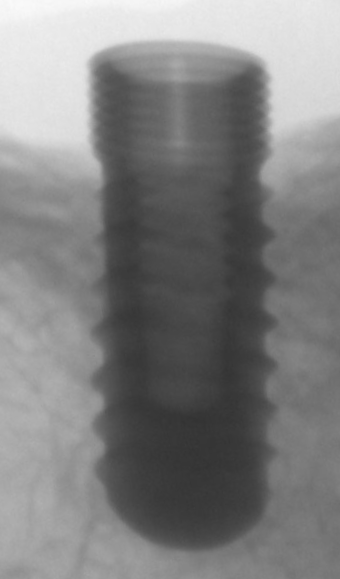 Biolife main image
