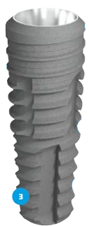 Bone Level main image