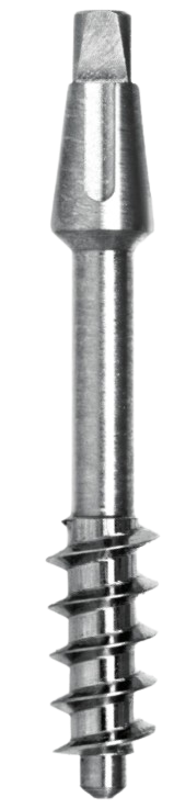 BI-X main image