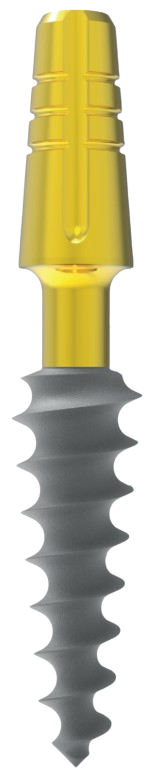 XPS main image