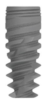 NT main image