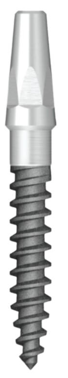 ProTem Secure Post main image