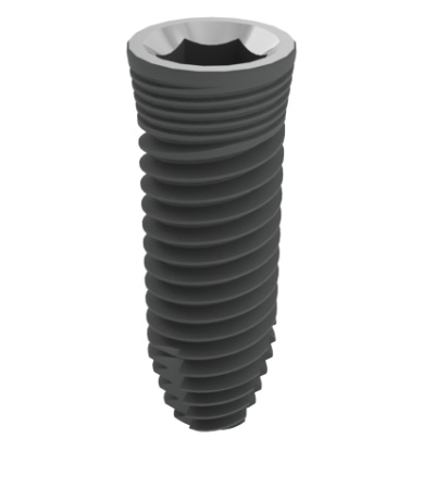 Coral Interna main image