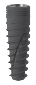 Suprême Cone Morse main image