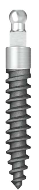 ProTem Secure Ball main image