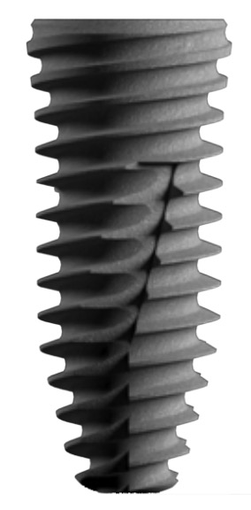 RFF main image