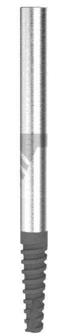 ZYG main image