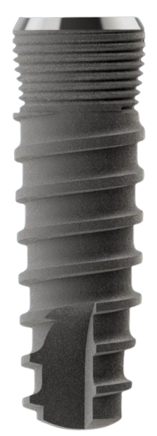 Seventeen main image