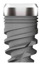 SHORTER main image