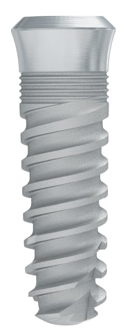 MISTRAL main image