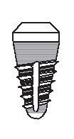 Conical Standard main image