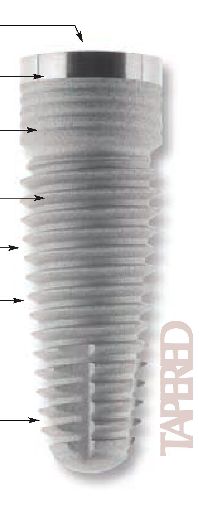 Keystone Dental (Lifecore Biomedical) Renova Tapered Implante dental