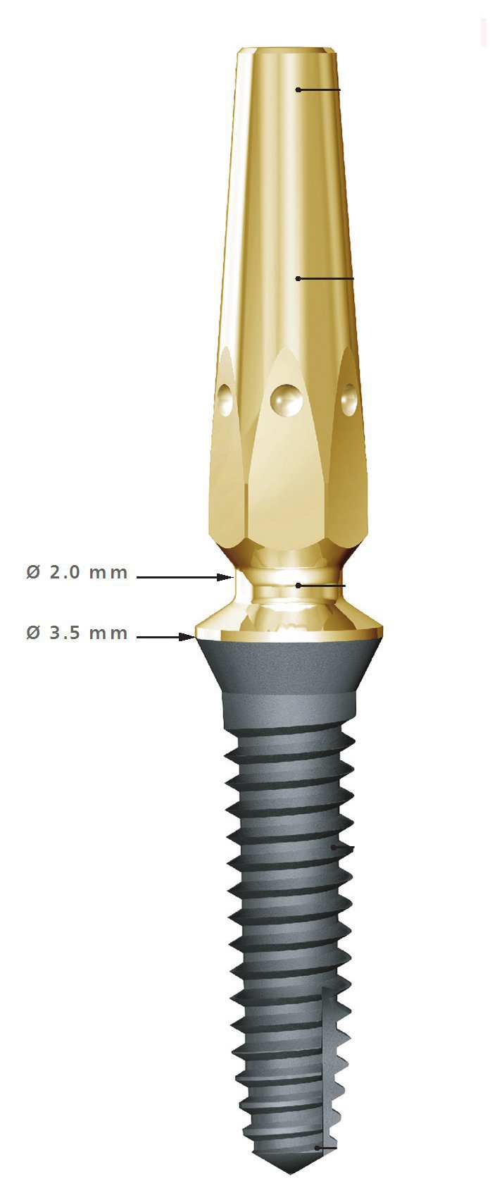 Periotype (Clinical house) PerioType XS Dental Implant | SpotImplant