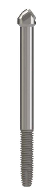 Zygex main image