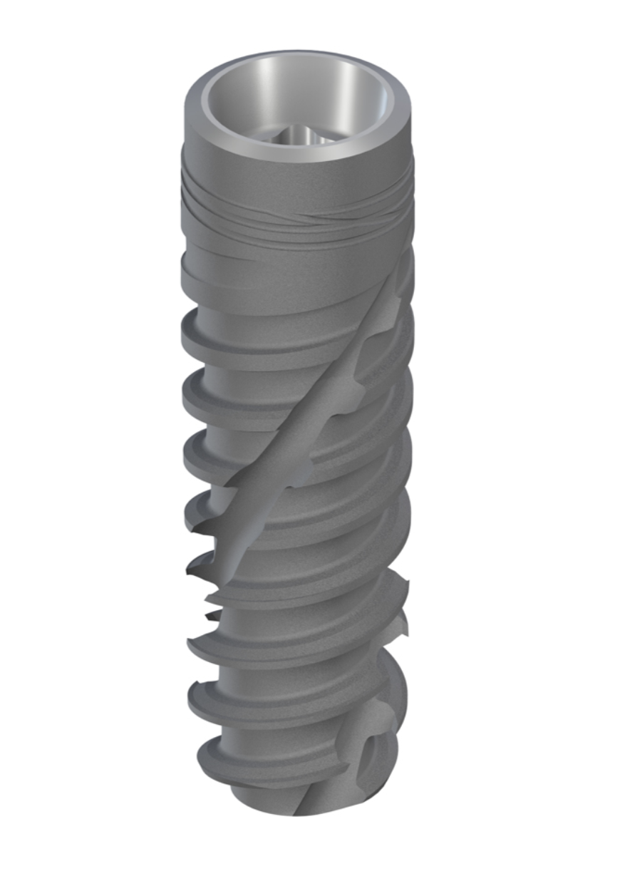 BLX Regular Base main image