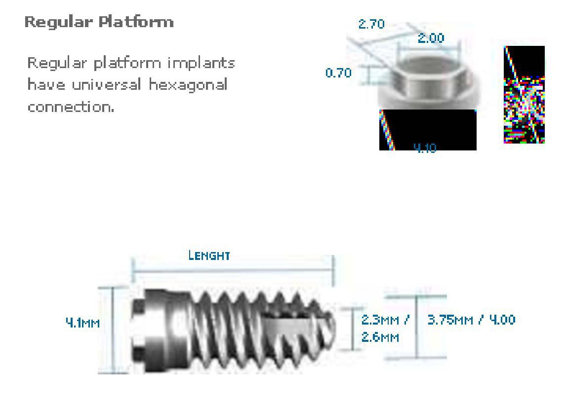 Titanium Fix E-fix Silver External Hexagon Implante Dentário | SpotImplant