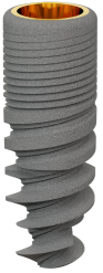 Rootform main image
